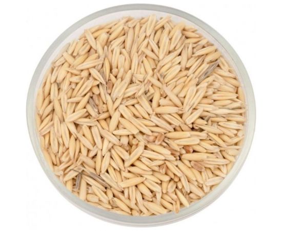 Зерно Сила Суздаля Овёс 5 кг 4680004063803 – изображение 3