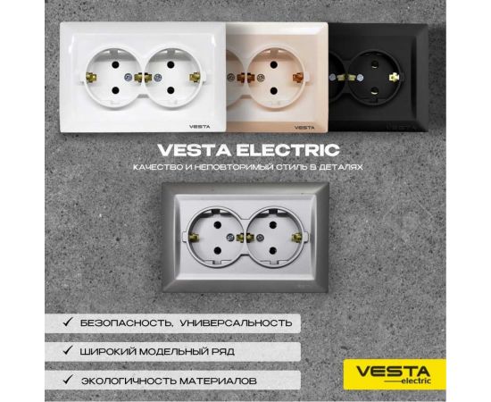 Двойная розетка Vesta Electric Roma Silver c заземлением FRZ00010111SRM – изображение 5
