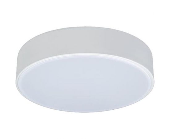 Накладной светильник LOFT IT Axel 1 10002/12 White 