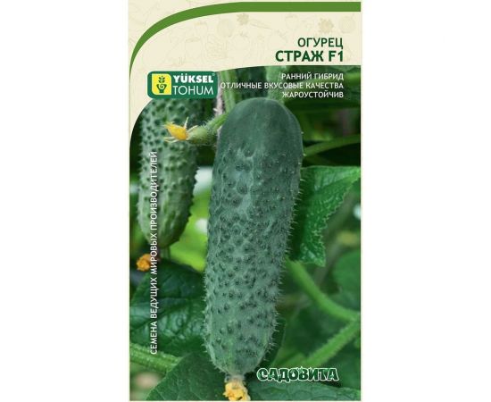 Семена Садовита Огурец Страж F1 5 шт. Yuksel Tohum 00216537 