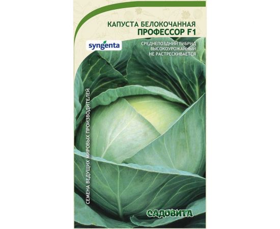 Семена Садовита Капуста белокочанная Профессор F1 10 шт. Syngenta 00216401 
