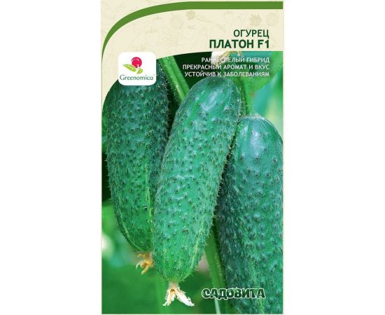 Семена Садовита Огурец Платон F1 5 шт. Greenomica 00216533 