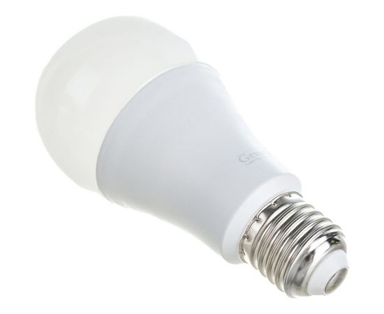 Светодиодная лампа General Lighting Systems WA67-25W-E27-690200 