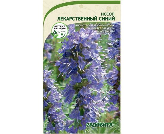 Семена Садовита Иссоп Лекарственный Синий 0.1 г 00222511 
