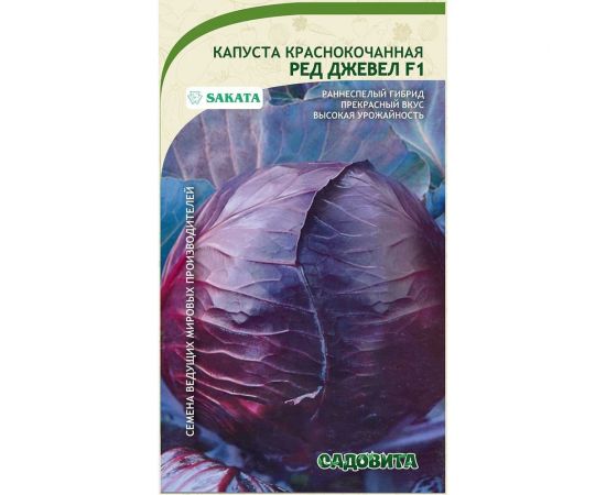 Семена Садовита Капуста краснокочанная Рэд Джевел F1 15 шт. Sakata 00216406 