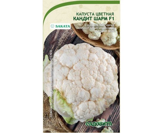 Семена Садовита Капуста цветная Кандит Шарм F1 10 шт. Sakata 00216421 