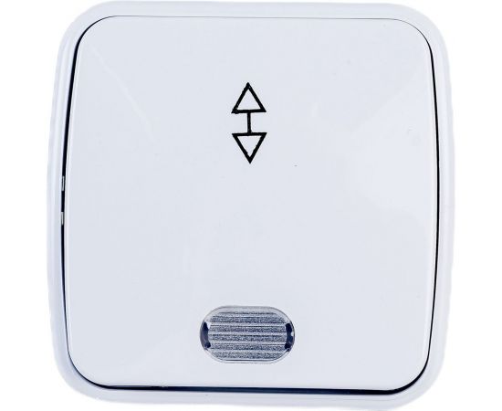 1-клавишный переключатель на 2 направления TDM открытой установки с подсветкой IP20 10А, белый Дача SQ1824-0006 