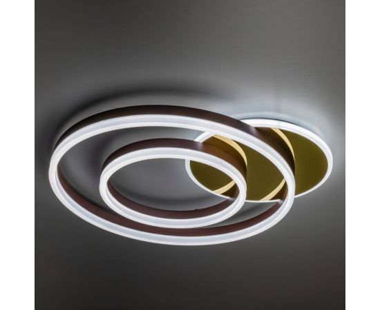 Потолочная светодиодная диммируемая люстра RITTER ECLIPSE пульт ДУ 3 режима 96Вт 2700К+6400К / 4200К / 6400К+2700К 52087 4 – изображение 5