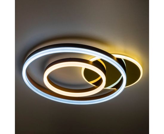 Потолочная светодиодная диммируемая люстра RITTER ECLIPSE пульт ДУ 3 режима 96Вт 2700К+6400К / 4200К / 6400К+2700К 52087 4 – изображение 7