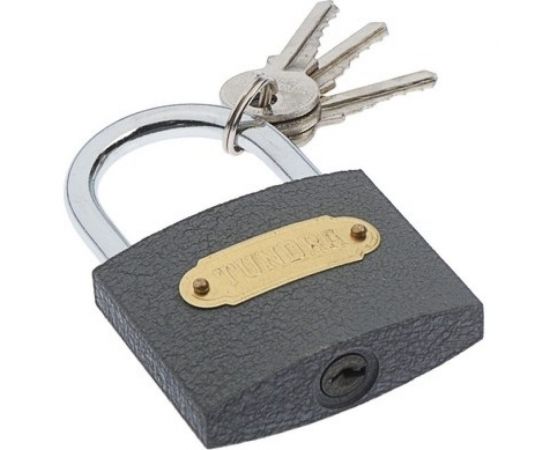 Навесной замок ТУНДРА ZN1063 63 мм 4594966 