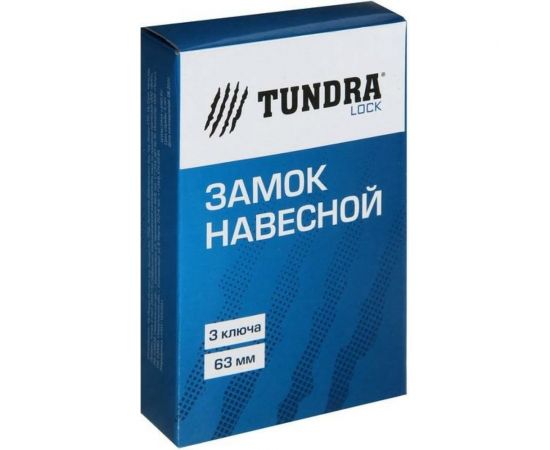 Навесной замок ТУНДРА ZN1063 63 мм 4594966 – изображение 3