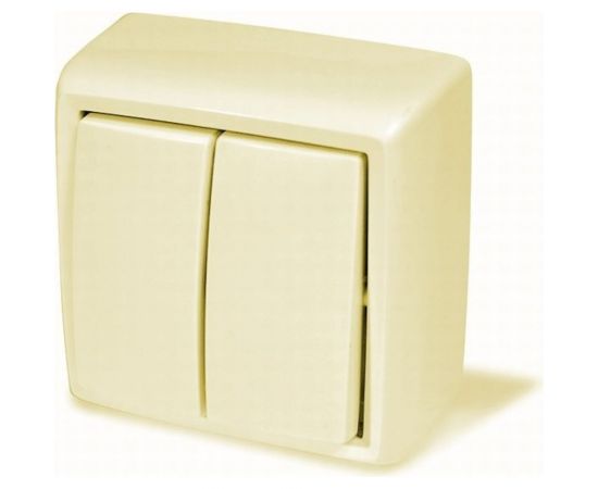 Выключатель ООО МПО Электротехника открытой установки 2 клавишный слоновая кость 1549 