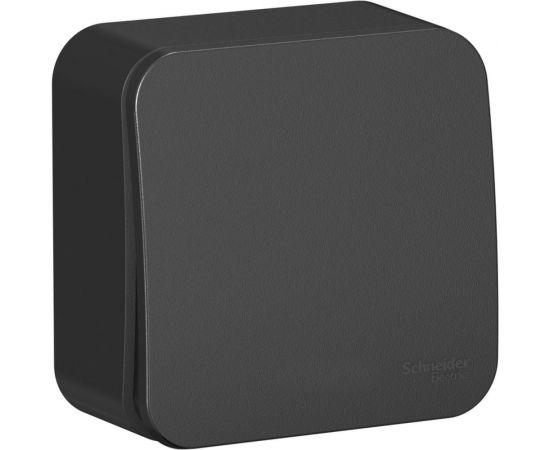1-клавишный выключатель Schneider Electric Blanca наружный, Антрацит 10А, 250B SE BLNVA101016 