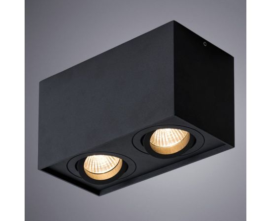 Потолочный светильник Arte Lamp FACTOR A5544PL-2BK – изображение 2