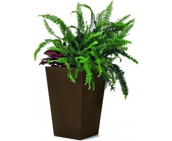 Кашпо Keter Rattan Planter Sкор 228977 