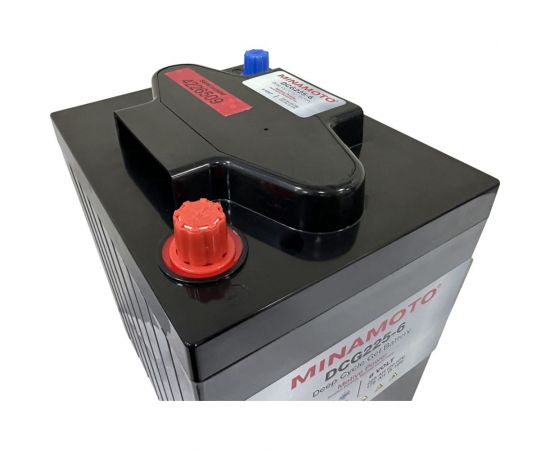 Тяговый моноблок MINAMOTO DCG225-6 (6В, 225Ач) гель 594000 