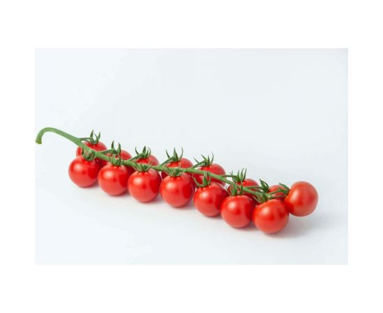 Чезаре F1 семена томата 10 шт ЭС мини ELITE PLANT-BREEDING & SEED PRODUCTION Co. 1026995228 – изображение 2