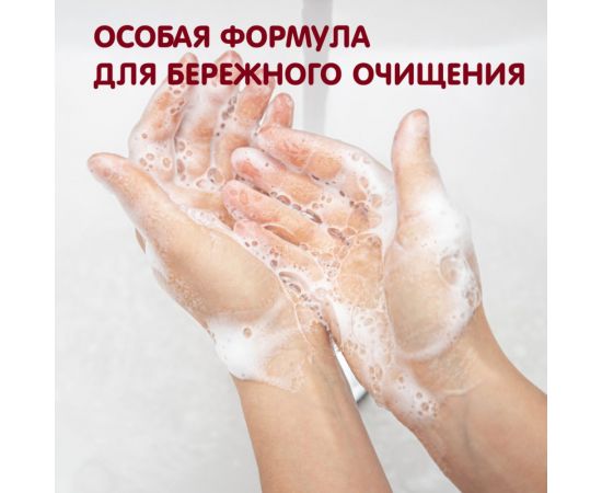 Увлажняющее жидкое мыло INSEENSE Инжир 5 л, канистра Ins5000mIK – изображение 3