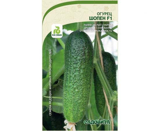 Семена Садовита Огурец Шопен F1 5 шт. Rijk Zwaan 00216541 