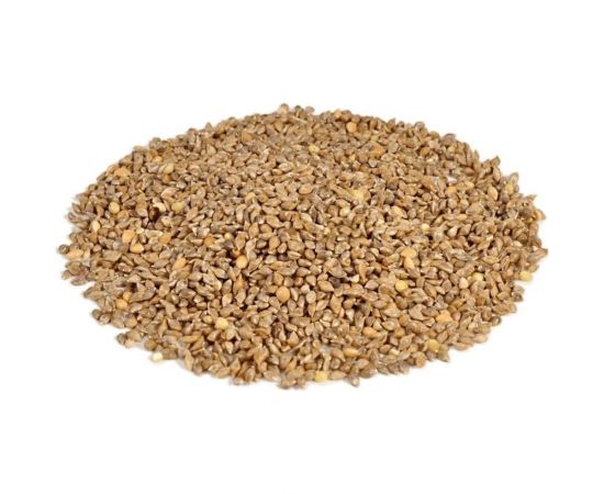 Семена Сила Суздаля Пайза 1 кг 4680004068143 – изображение 2