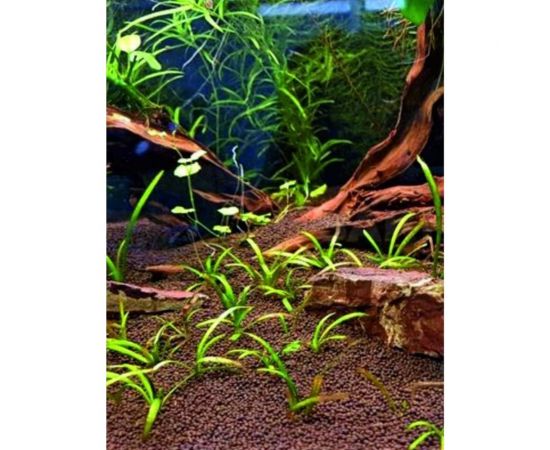 Аквагрунт Сила Суздаля коричневый, 3 кг 4680004065517 – изображение 3