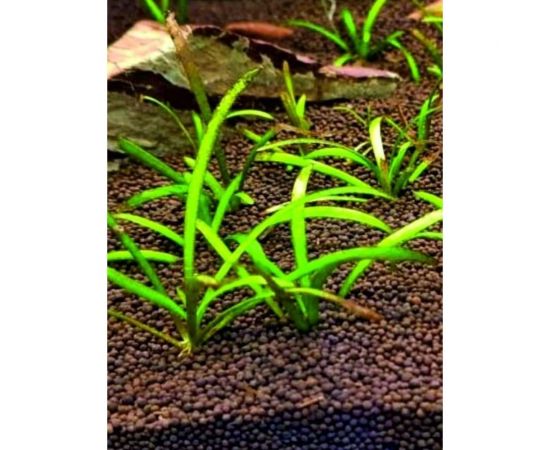 Аквагрунт Сила Суздаля коричневый, 3 кг 4680004065517 – изображение 4