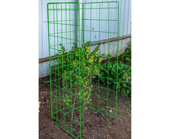 Шпалера 3D для растений НАЙДИ S3D – изображение 4