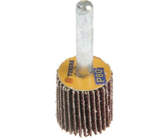 Круг лепестковый радиальный (20х20х6 мм; Р80) ТУНДРА 5162347 – изображение 2