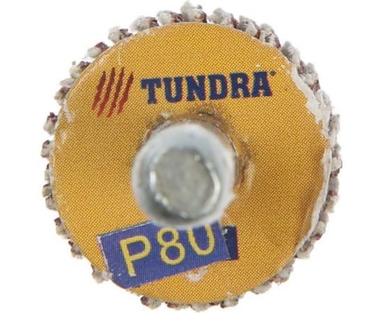 Круг лепестковый радиальный (20х20х6 мм; Р80) ТУНДРА 5162347 – изображение 3