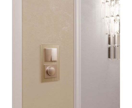 Рамка на 2 поста WERKEL W0021111 шампань стекло a050796 – изображение 3