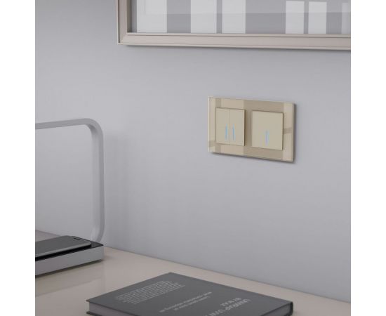 Рамка на 2 поста WERKEL W0021111 шампань стекло a050796 – изображение 4