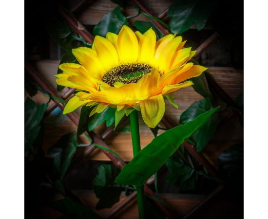 Садовый светильник на солнечной батарее Uniel «Подсолнух» USL-S-814/PT700 SUNFLOWER UL-00009378 – изображение 4