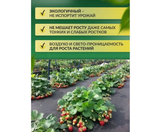 Укрывной материал спанбонд суф (3.2x5 м; 100 г/кв.м; черный) Доминар B46257 – изображение 3