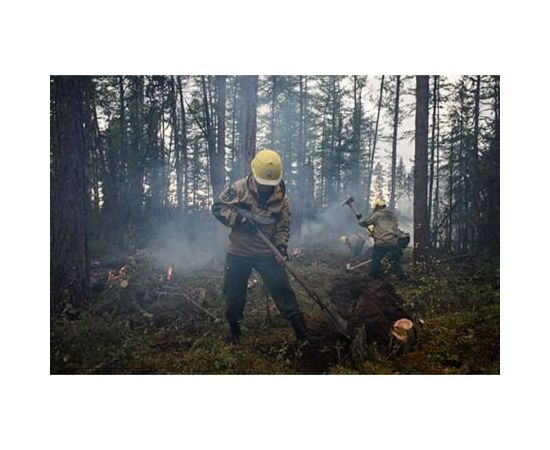 Топор-мотыга Лесхозснаб 4631140678086 – изображение 3