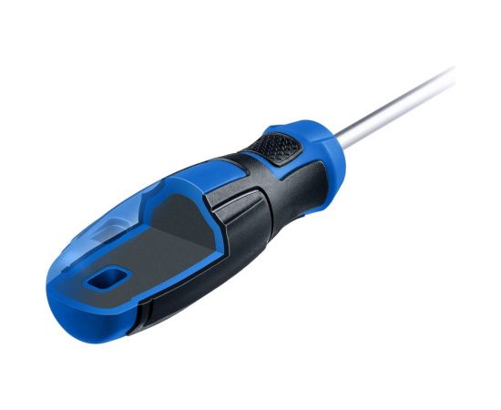 Отвертка ЗУБР Профессионал PZ1x100 25233-1_z01 – изображение 3