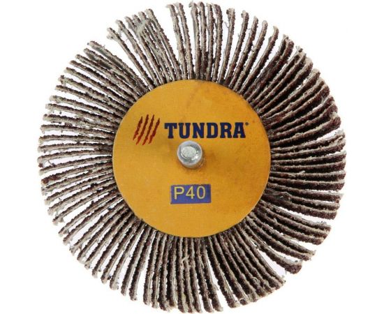Круг лепестковый радиальный (80х30х6 мм; Р40) ТУНДРА 1875468 – изображение 3
