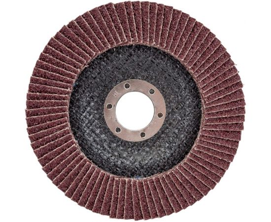 Круг лепестковый торцевой (125х22 мм; Р24) ТУНДРА 4962242 – изображение 3