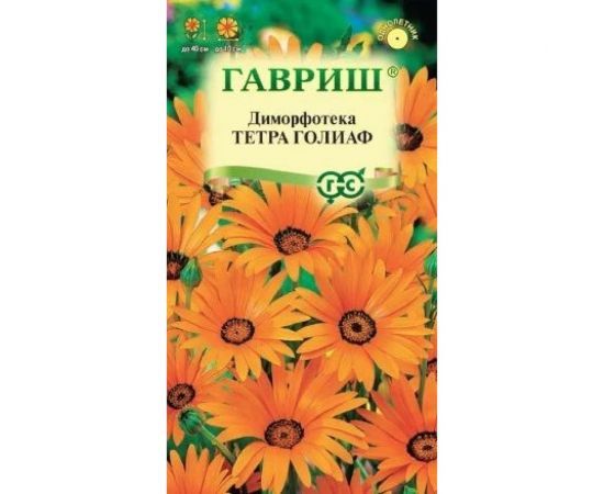 Семена ГАВРИШ Диморфотека Тетра Голиаф 0.1 г 1071857670 