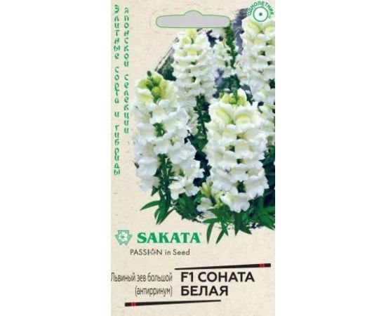 Антирринум ГАВРИШ (Львиный зев) Соната белая 7 шт, Саката серия Элитная клумба 1071856910 