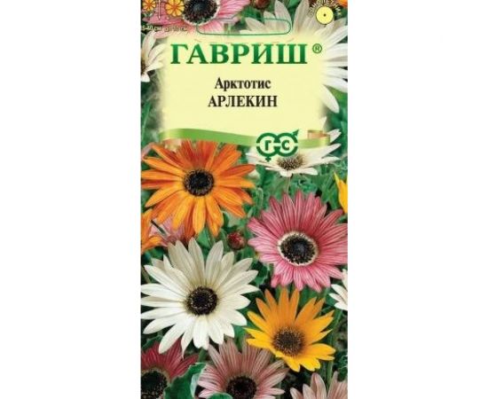 Арктотис ГАВРИШ Арлекин (гибридный), 0,2 г 191021337 