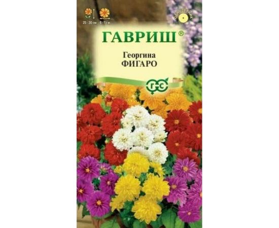 Семена ГАВРИШ Георгина Фигаро 7 шт., негранулированные 1071857500 