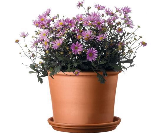 Горшок Deroma bordato диам. 23 см 0P230SZ – изображение 2