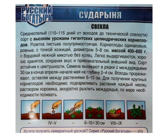 Семена Гавриш Свекла Сударыня 2 г 191223433 – изображение 2