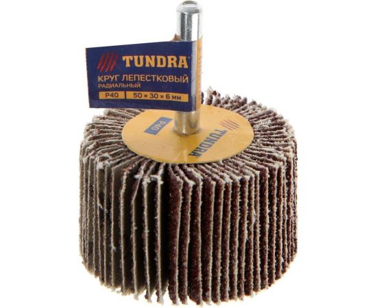 Круг лепестковый радиальный (50х30х6 мм; Р40) ТУНДРА 5162354 