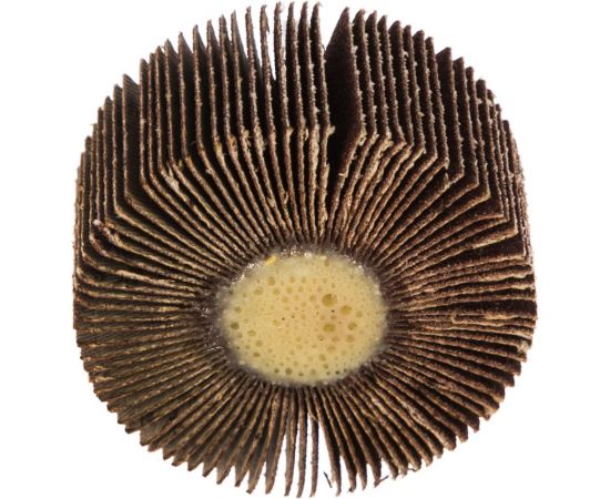 Круг лепестковый с оправкой (60х30 мм; P120) ПРАКТИКА 649-066 