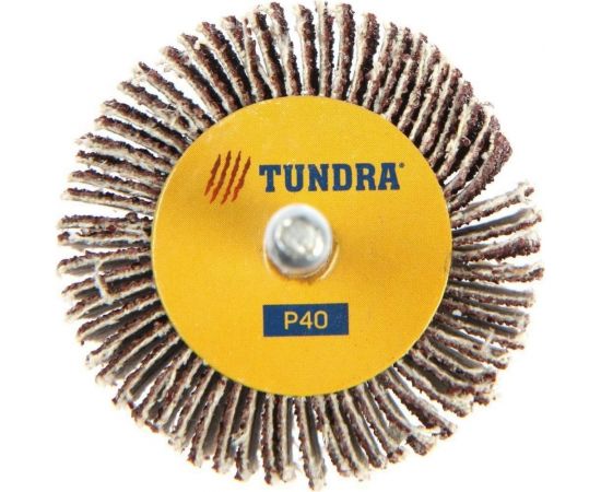 Круг лепестковый радиальный (50х30х6 мм; Р40) ТУНДРА 5162354 – изображение 2