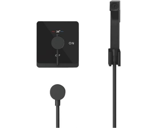 Смеситель с гигиеническим душем ROSE черный R105H 