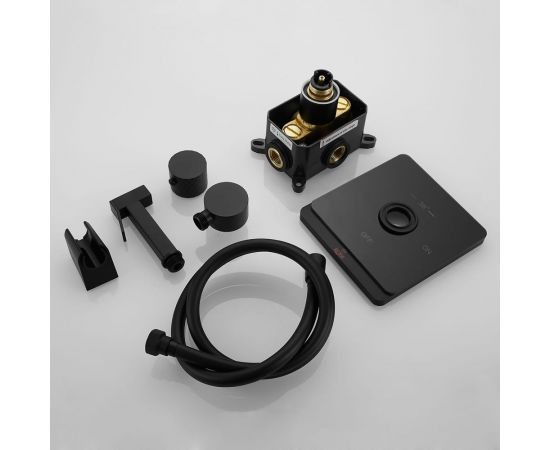 Смеситель с гигиеническим душем ROSE черный R105H – изображение 3