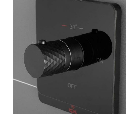 Смеситель с гигиеническим душем ROSE черный R105H – изображение 9