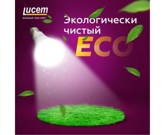 Светодиодная лампа Lucem LM-LBL 3W 6500K E14 FLLBL031465L – изображение 3